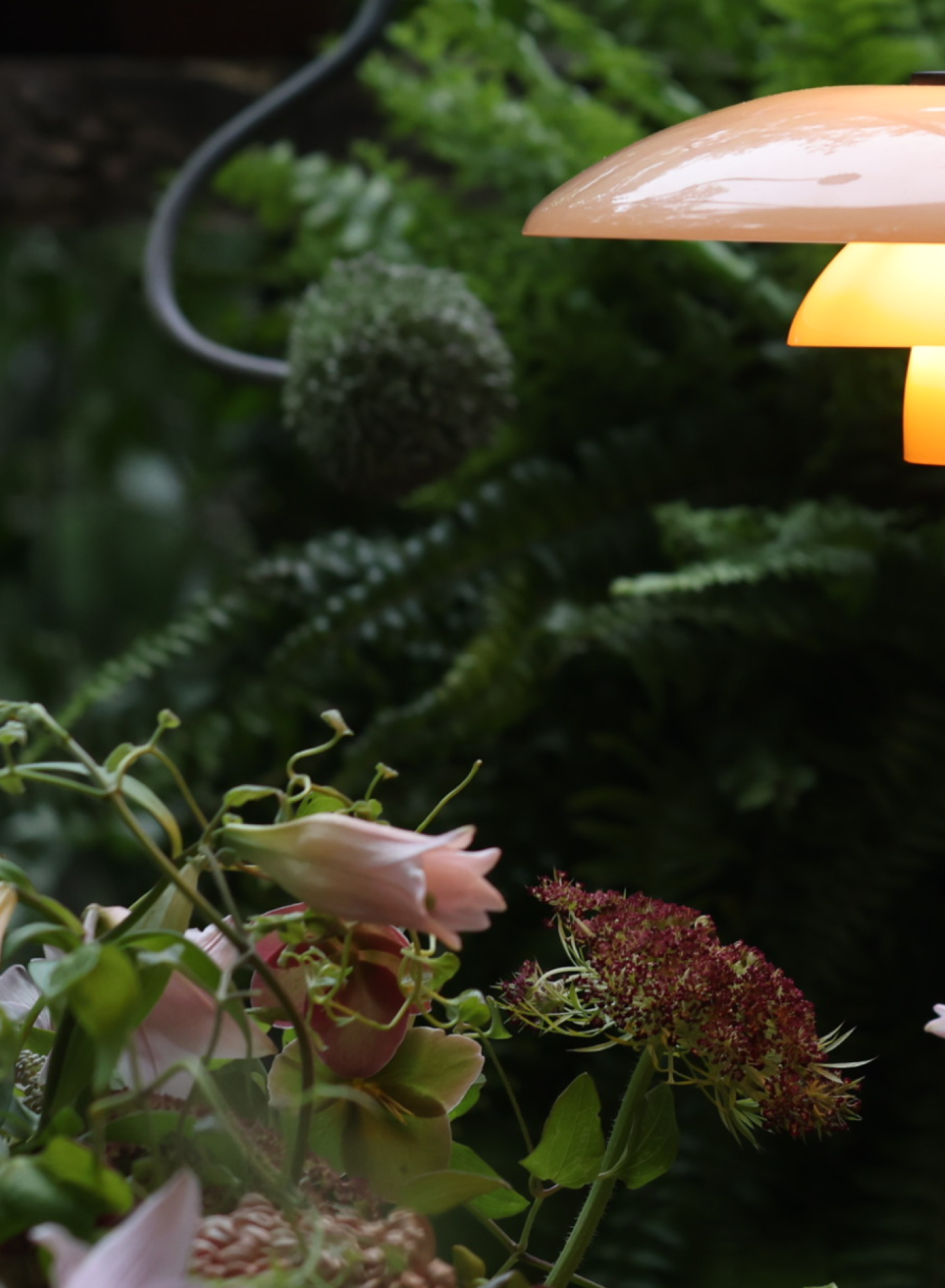 PH 3/2 Limited Edition Table Lamp glowing near pink and red flowers, © 2025 Louis Poulsen.